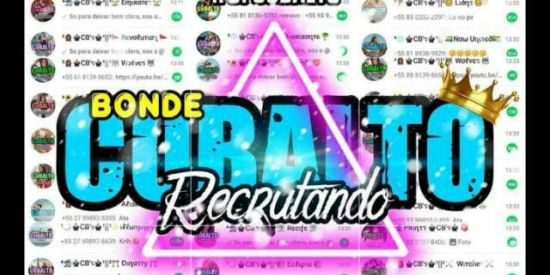 Imagem do grupo de WhatsApp 🦊 Recrutamento Cobalto🦊