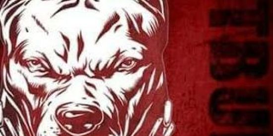 Imagem do grupo de WhatsApp PITBULL DE TXS dd73🦮🦮