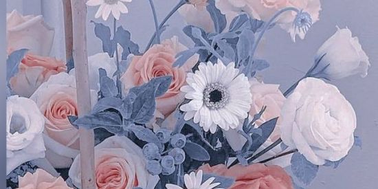 Imagem do grupo de WhatsApp 🌪️ |everything_cobras