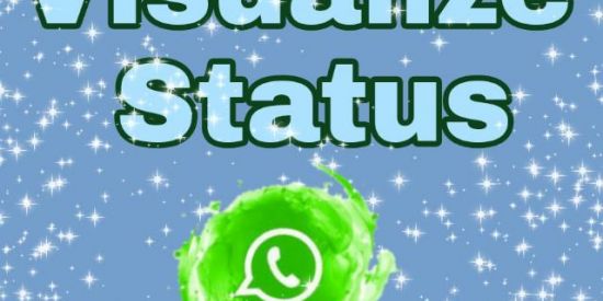 Imagem do grupo de WhatsApp Visualize Status 👁️
