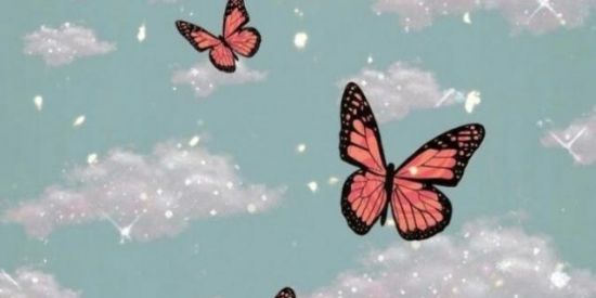 Imagem do grupo de WhatsApp SISTERS HYPE 🤍🦋