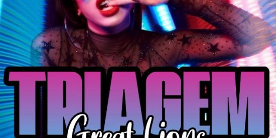 Imagem do grupo de WhatsApp 🔥TRIAGEM GREAT LIONS🔥