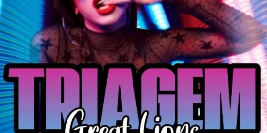 Imagem do grupo de WhatsApp 🔥TRIAGEM GREAT LIONS2🔥