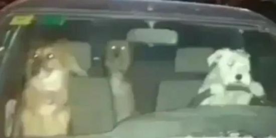 Imagem do grupo de WhatsApp Fode Ou Sai De Cima 😏😂😌🚩