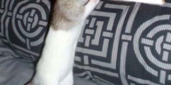 Imagem do grupo de WhatsApp ZDZ A TROPA🔥🔞