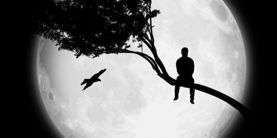 Imagem do grupo de WhatsApp D.p.