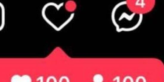 Imagem do grupo de WhatsApp 🔥THE FLOWERS INSTA😋