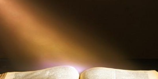 Imagem do grupo de WhatsApp Palavra que transforma🙌📖