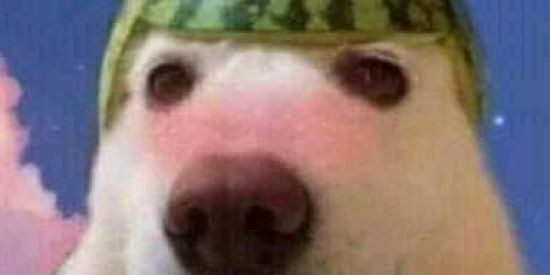 Imagem do grupo de WhatsApp Aquela zueirinha alék