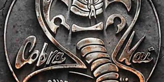 Imagem do grupo de WhatsApp Nosso cobra kai👊🐍