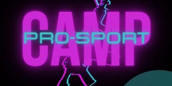 Imagem do grupo de WhatsApp ⚔️ CAMPEONATO DIÁRIO FF⚔️