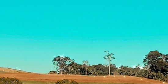 Imagem do grupo de WhatsApp Multiengajamento2021