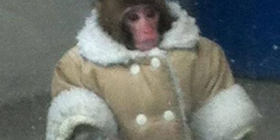 Imagem do grupo de WhatsApp Webnamoro e Amizades 🏳️‍🌈👩‍❤️‍💋‍👨🏳️‍⚧️