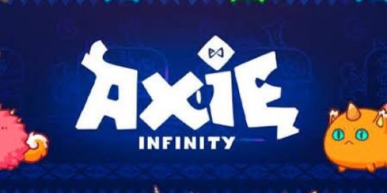 Imagem do grupo de WhatsApp 🕹🎮💲AXIE INFINITY💲🎮🕹
