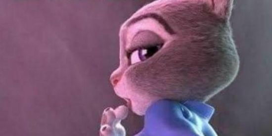 Imagem do grupo de WhatsApp FIGU RINHAS🔥😼