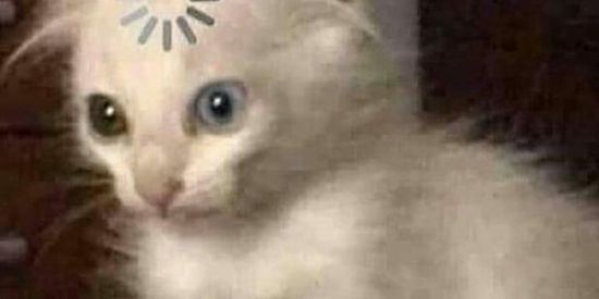 Imagem do grupo de WhatsApp ꧁FΑLIDΘ͢S꧂