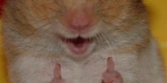 Imagem do grupo de WhatsApp ఌ︎friends