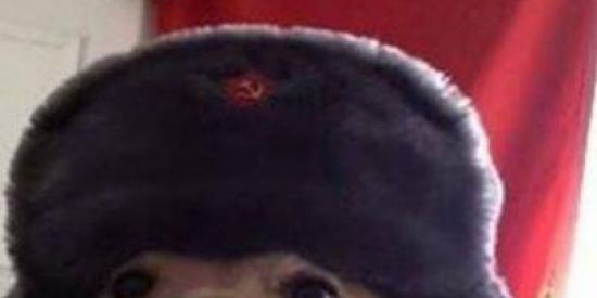 Imagem do grupo de WhatsApp C4b4re3 do kauazin