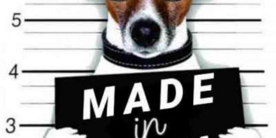 Imagem do grupo de WhatsApp 🇺🇲 FAMILY VIRTUAL 🇧🇷