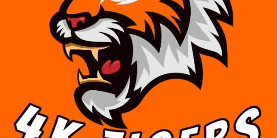 Imagem do grupo de WhatsApp Recruta  GUILDA 4K TIGERS