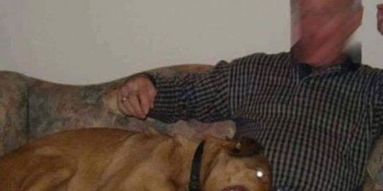 Imagem do grupo de WhatsApp 🕉️Organização Narnia🔯