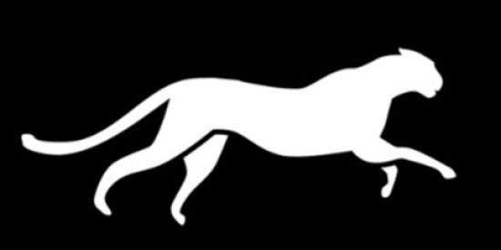 Imagem do grupo de WhatsApp Panthera FC Store