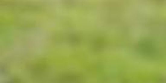 Imagem do grupo de WhatsApp Suporte para Vendas afiliados - *Grupo 223*