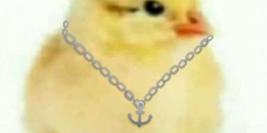 Imagem do grupo de WhatsApp ✌Figurinhas ✌