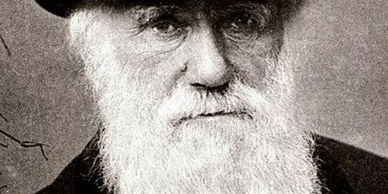 Imagem do grupo de WhatsApp Jardim Galápagos