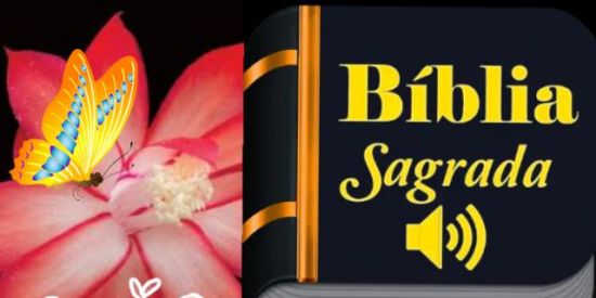 Imagem do grupo de WhatsApp ❅⃝❤️S̰̃ó̰̃  figurinhas De fe❅⃝🌹