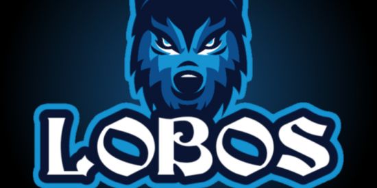 Imagem do grupo de WhatsApp LOBOS