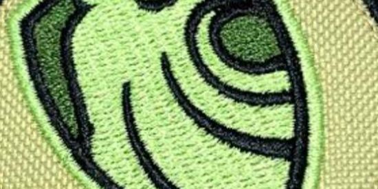 Imagem do grupo de WhatsApp PROARMAS (não oficial)