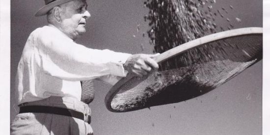 Imagem do grupo de WhatsApp Comunhão em Cristo