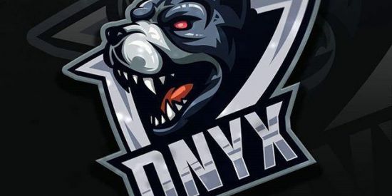 Imagem do grupo de WhatsApp ONYX E- Sports  TESTES