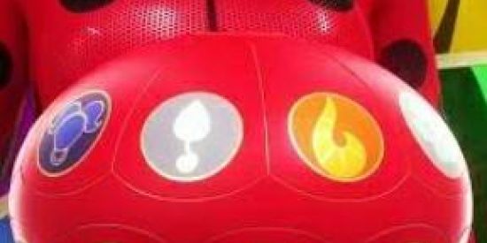 Imagem do grupo de WhatsApp Miraculers🐞🐈‍⬛