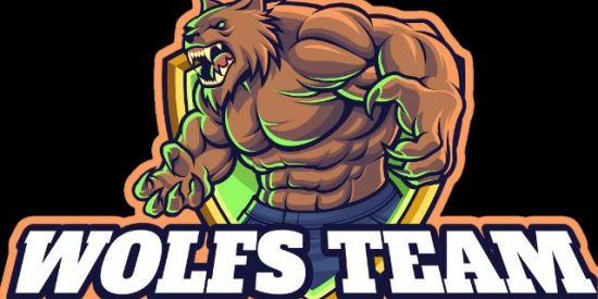 Imagem do grupo de WhatsApp WOLFS TEAM†