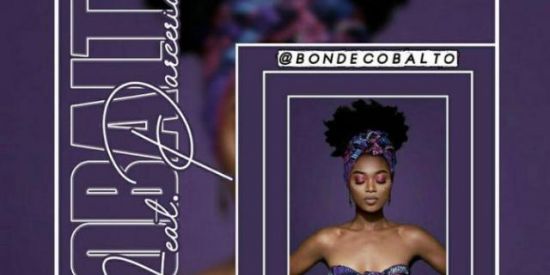 Imagem do grupo de WhatsApp 🐺Triagem Cobalto 👑