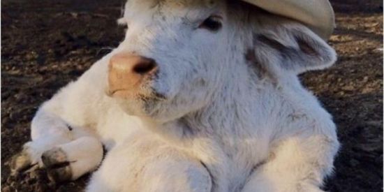 Imagem do grupo de WhatsApp ☂︎tanto faz eoem🖤