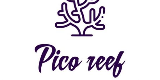 Imagem do grupo de WhatsApp Pico Reef
