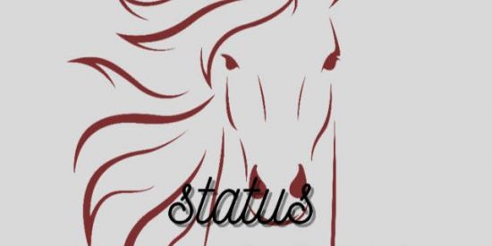 Imagem do grupo de WhatsApp Status_vaquejada01