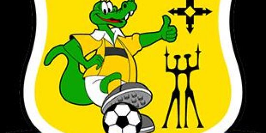 Imagem do grupo de WhatsApp Brasiliense Futebol Clube