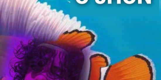 Imagem do grupo de WhatsApp 🦜procuradores de jhon🦜