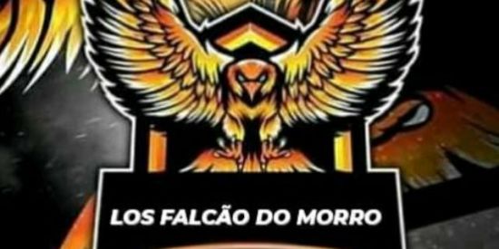Imagem do grupo de WhatsApp DIARIO LOS FALCÃO