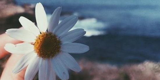 Imagem do grupo de WhatsApp Amizade & Tempo🪐⚡💨