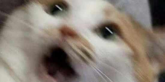 Imagem do grupo de WhatsApp GRUPINHU AMZD & NMR :3💗