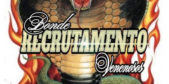 Imagem do grupo de WhatsApp 🐍яє¢яυтαмєηтσ ✦ѵ'รร✦🐍