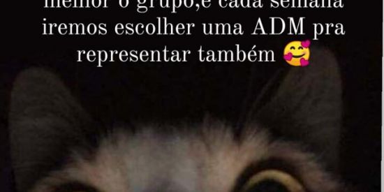 Imagem do grupo de WhatsApp conta interativa✨