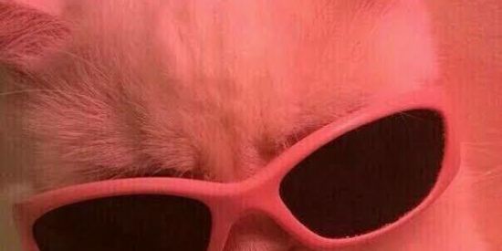 Imagem do grupo de WhatsApp Figurinhas 24H