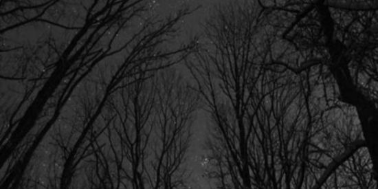 Imagem do grupo de WhatsApp 🔥CHAT DO NESCAU 1.0🔥