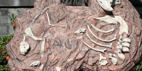 Imagem do grupo de WhatsApp 🔥Memes.0 🔥